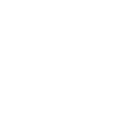 icons8-botschaft-64 (1)